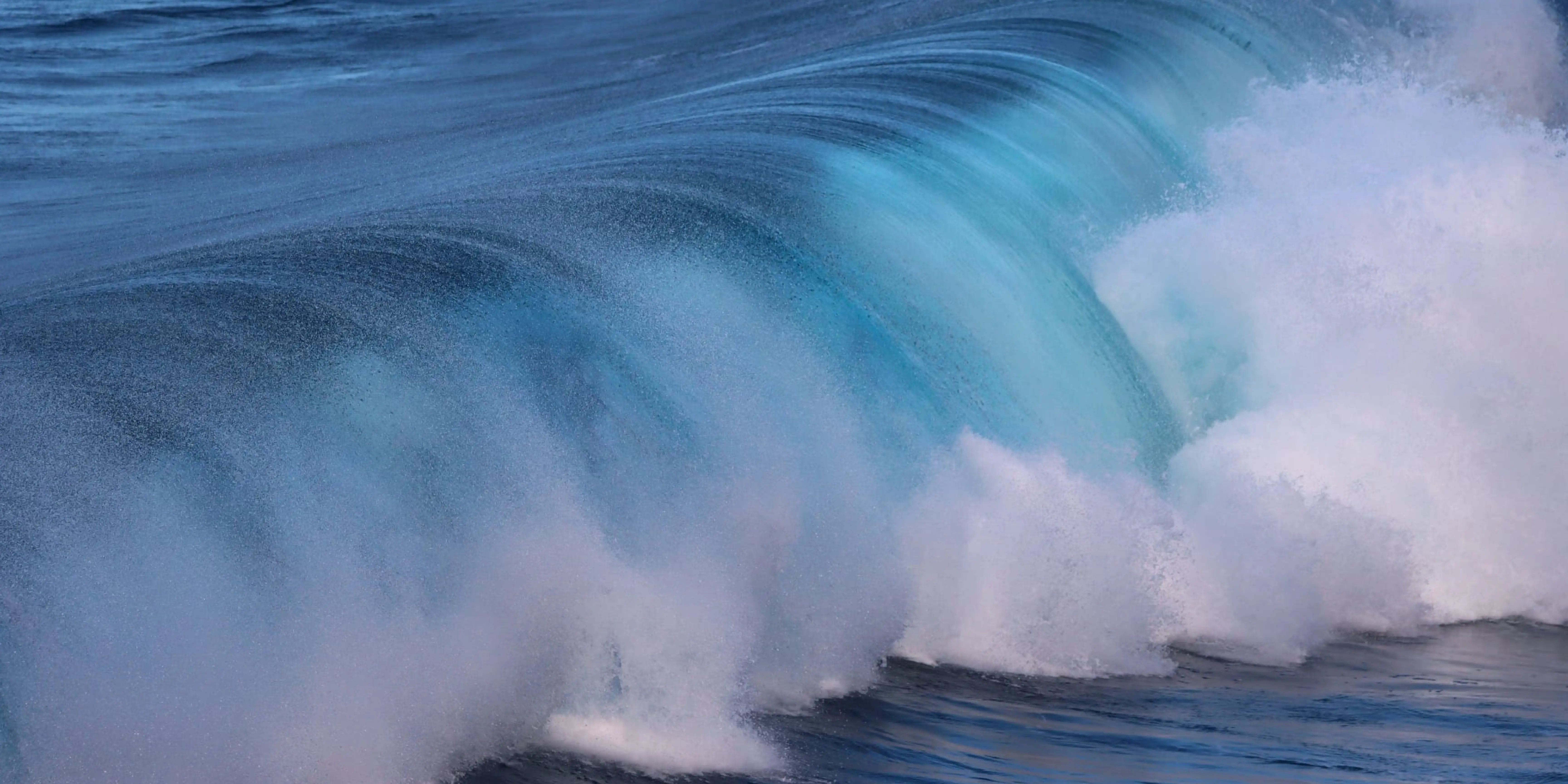 Fondo Muro de Oración
